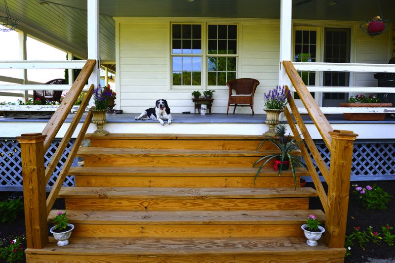 Steps Staining